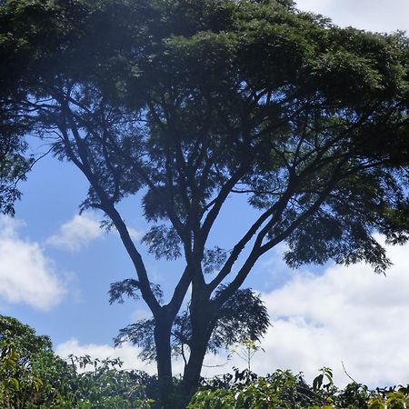 Le Pristine Wellness And Healing Hotel Nyeri Bagian luar foto