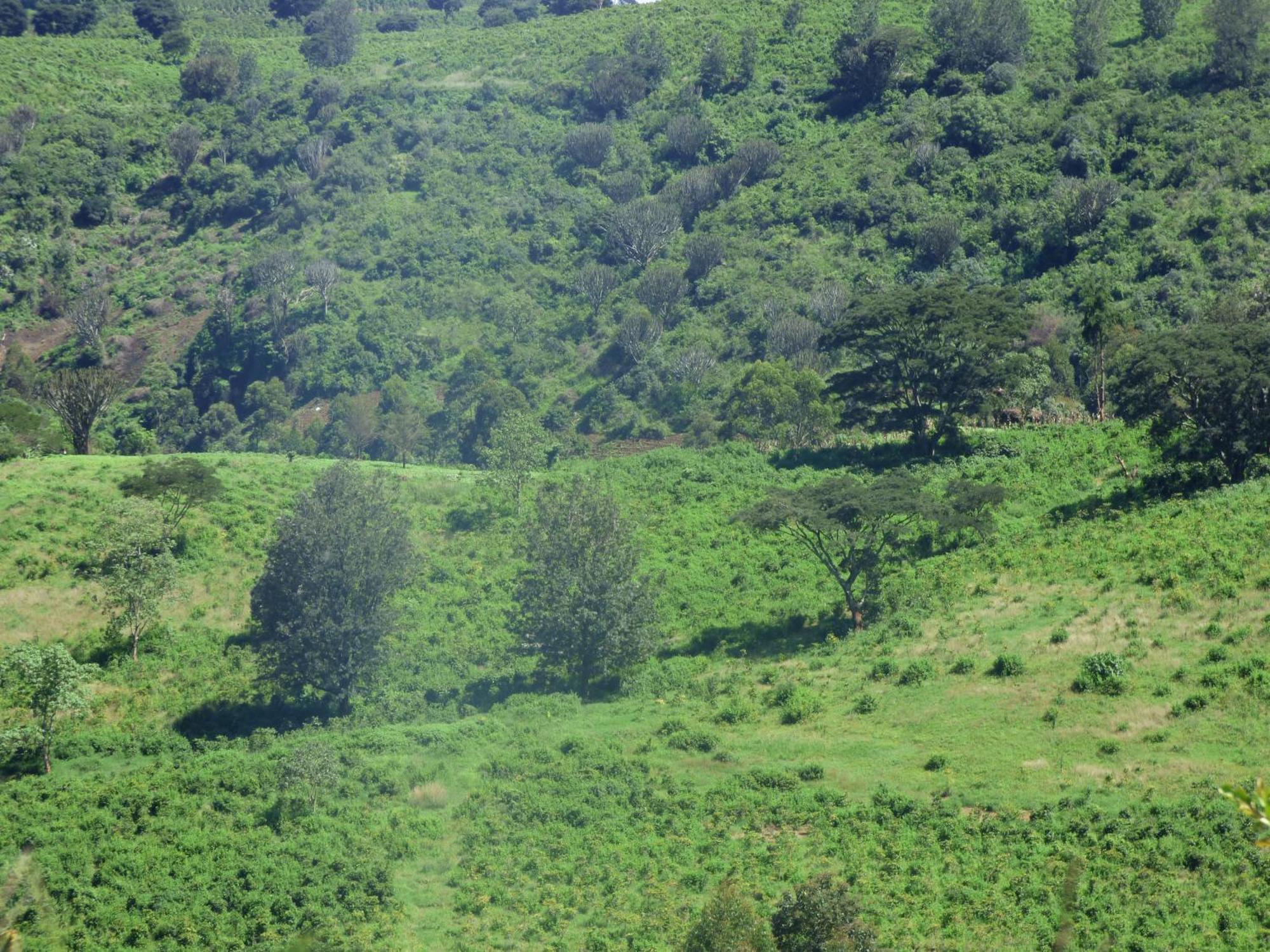 Le Pristine Wellness And Healing Hotel Nyeri Bagian luar foto