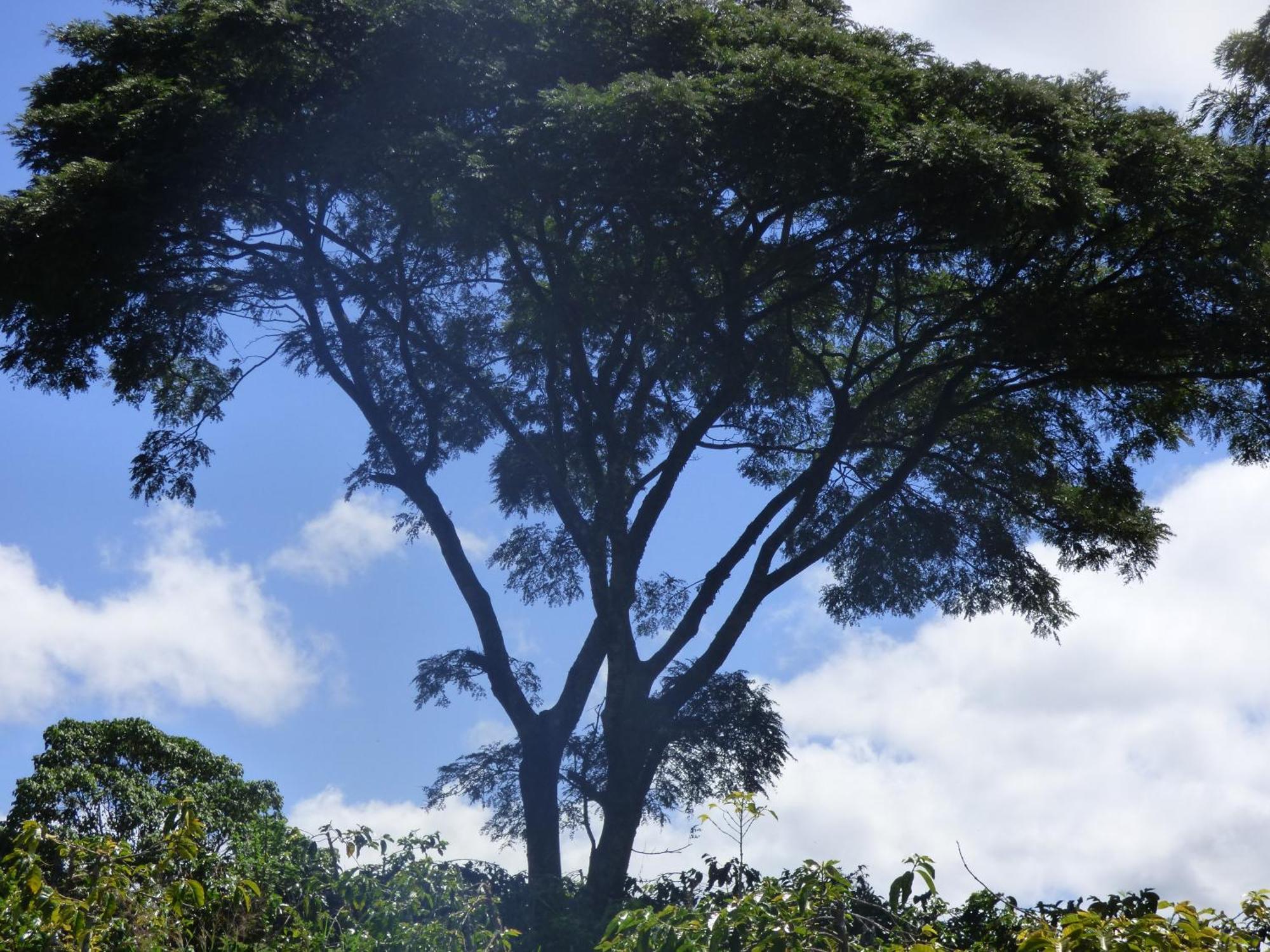Le Pristine Wellness And Healing Hotel Nyeri Bagian luar foto