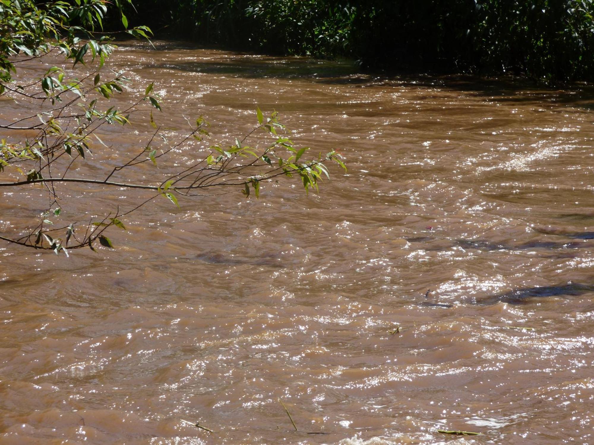 Le Pristine Wellness And Healing Hotel Nyeri Bagian luar foto