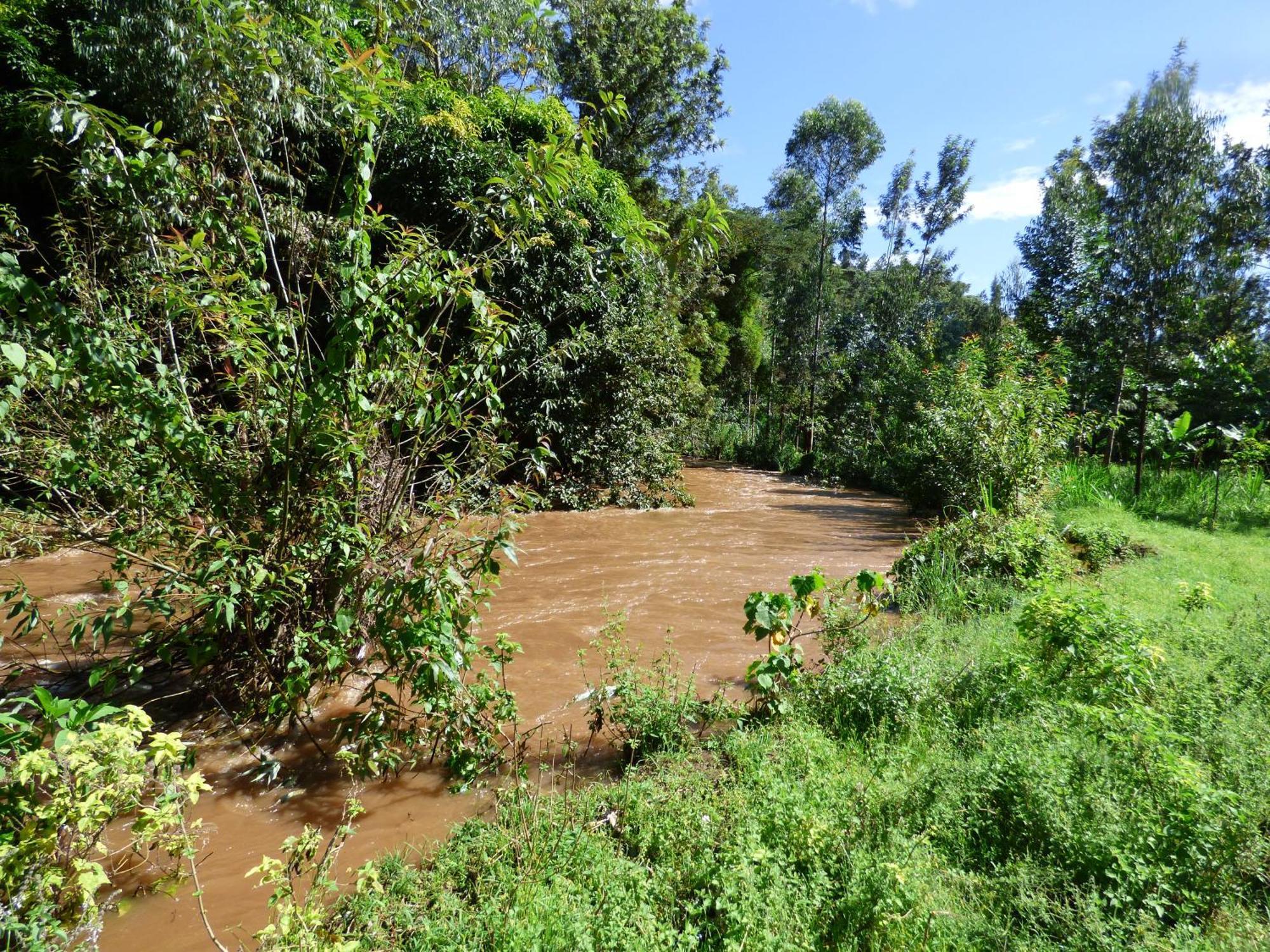 Le Pristine Wellness And Healing Hotel Nyeri Bagian luar foto