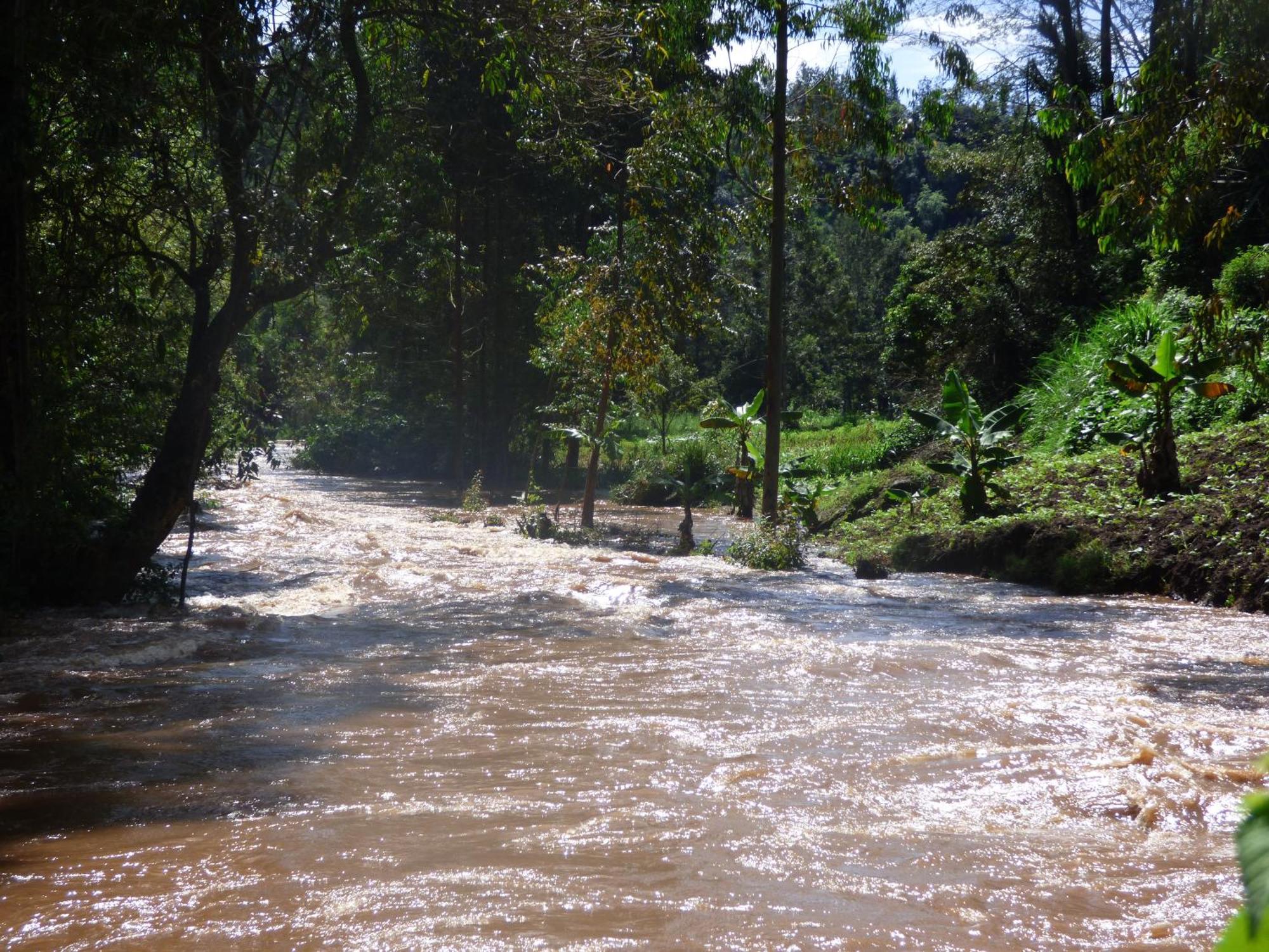 Le Pristine Wellness And Healing Hotel Nyeri Bagian luar foto