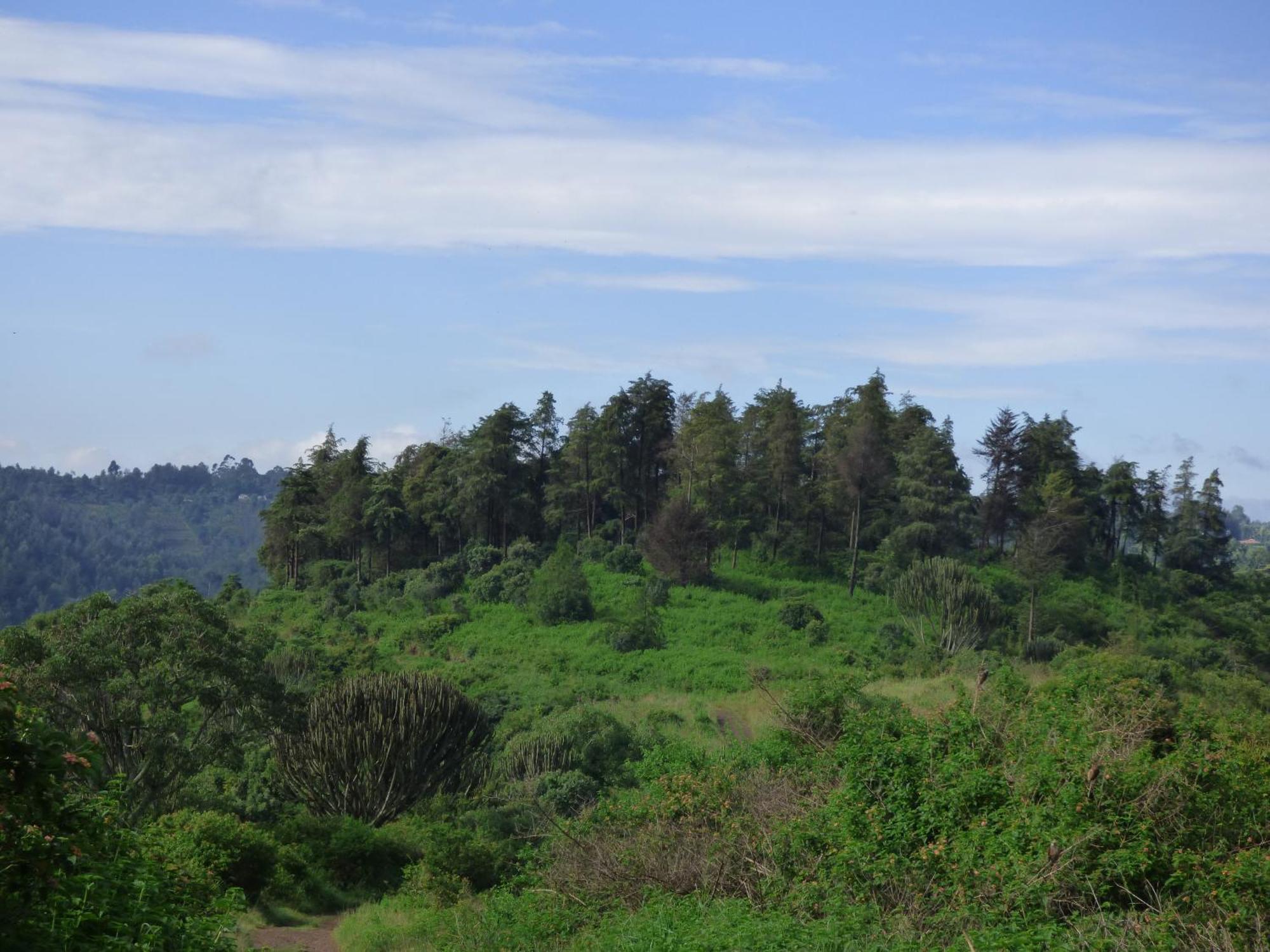 Le Pristine Wellness And Healing Hotel Nyeri Bagian luar foto