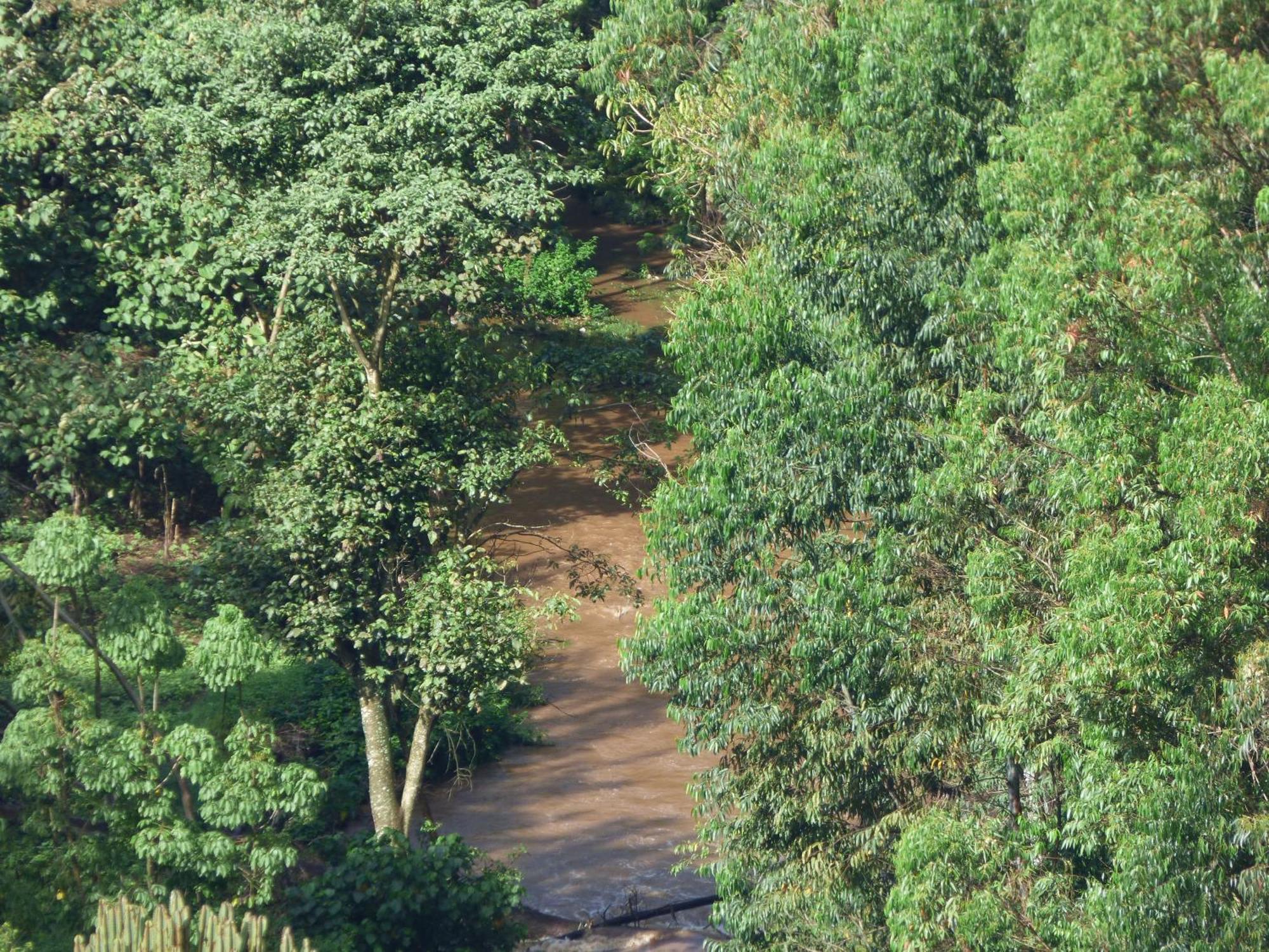 Le Pristine Wellness And Healing Hotel Nyeri Bagian luar foto