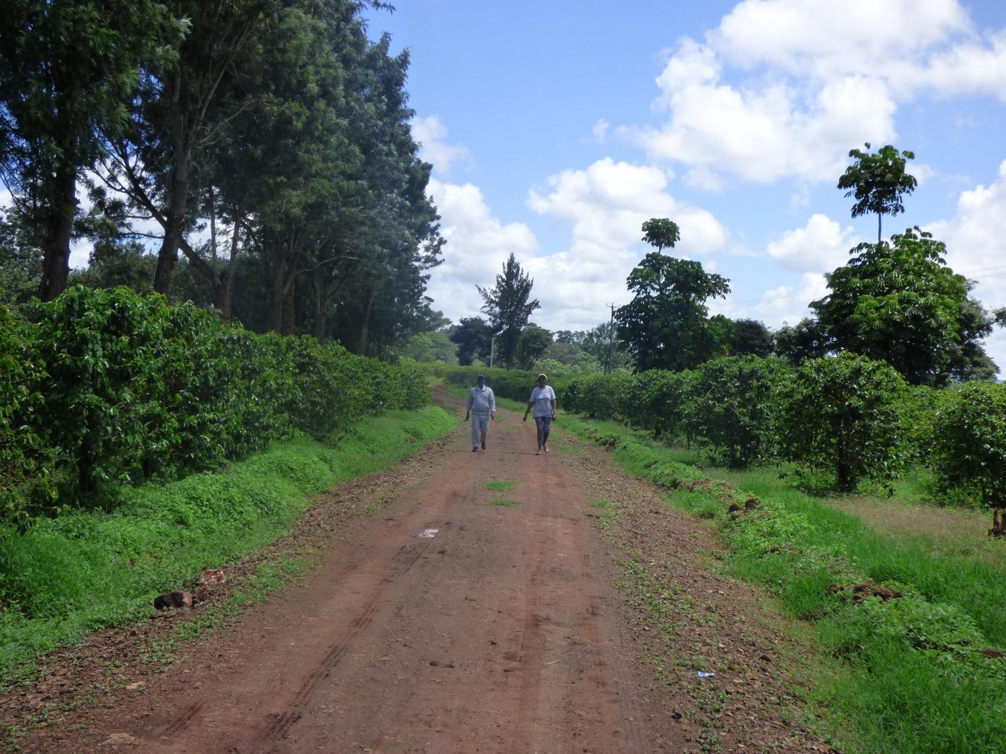 Le Pristine Wellness And Healing Hotel Nyeri Bagian luar foto