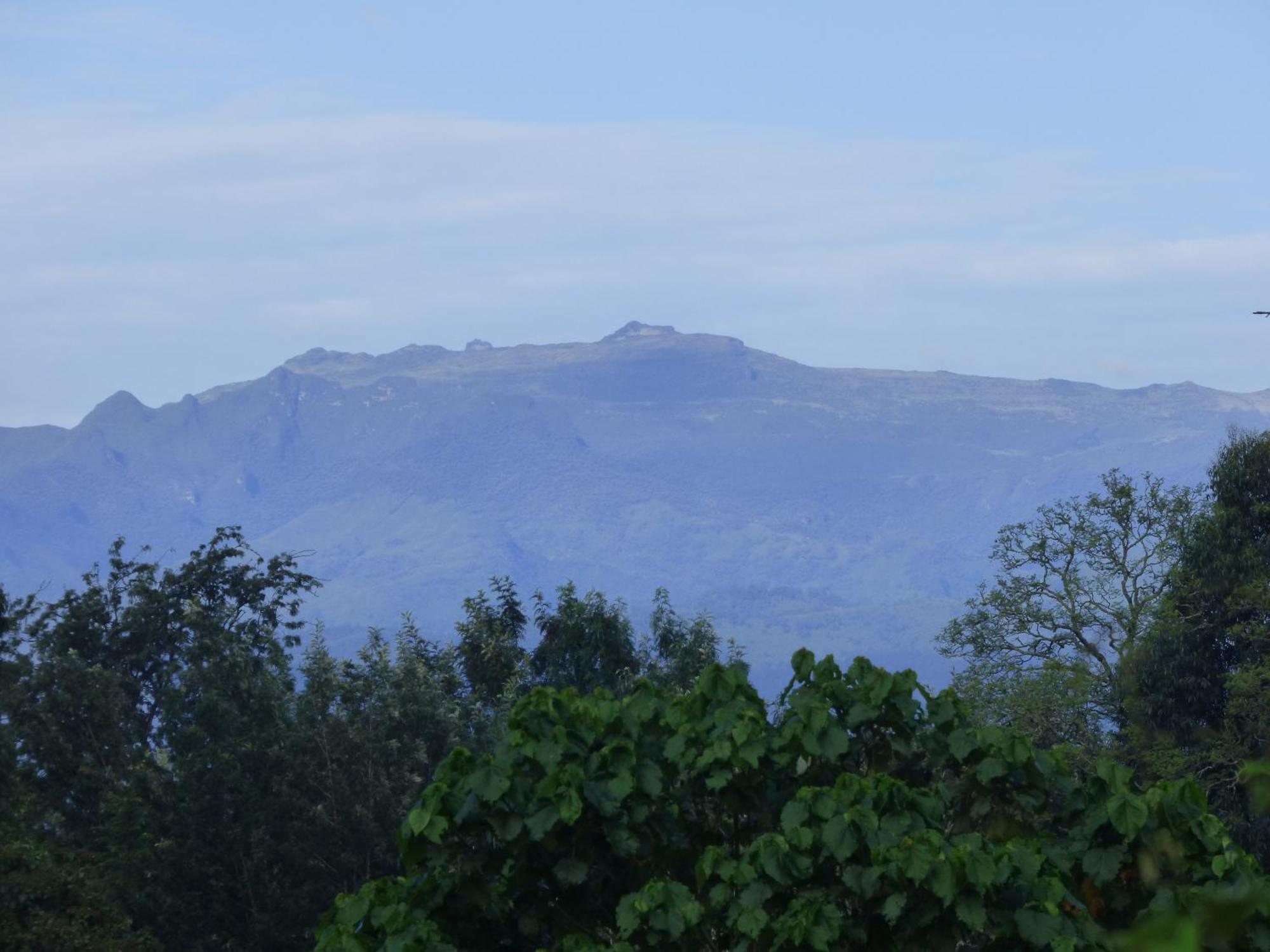 Le Pristine Wellness And Healing Hotel Nyeri Bagian luar foto